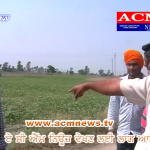 acmnews exclusive dudhar solid waste plant